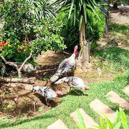 Casa Polveros 拉帕尔马岛丰卡连特